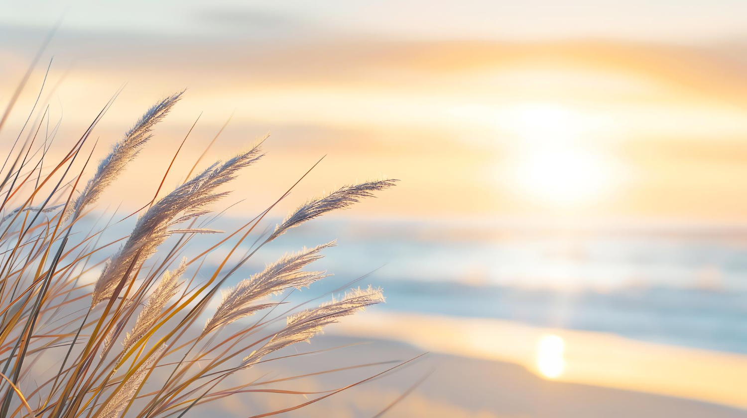 Imagen de un amanecer, cortesía de Freepik.es y que representa lo que ofrece la consulta psicológica, infantil y adolescente de Marta Aizpurua, en Donosti y Azpeitia.